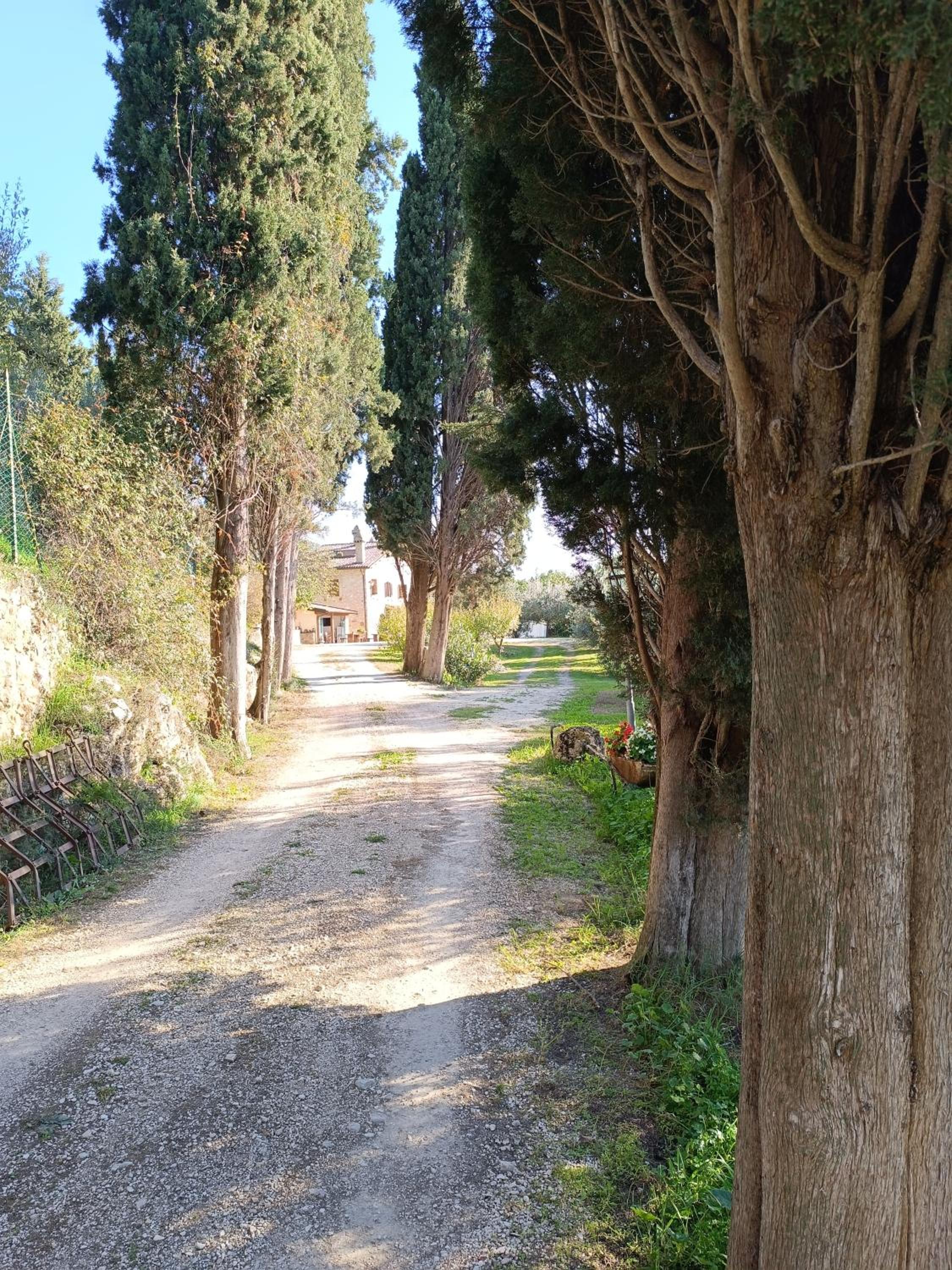 Photo 26