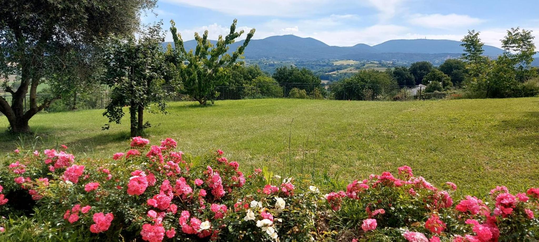 IL CASALE DEGLI ULIVI- Splendido casale panoramico con piscina a 30 min da Roma GRA