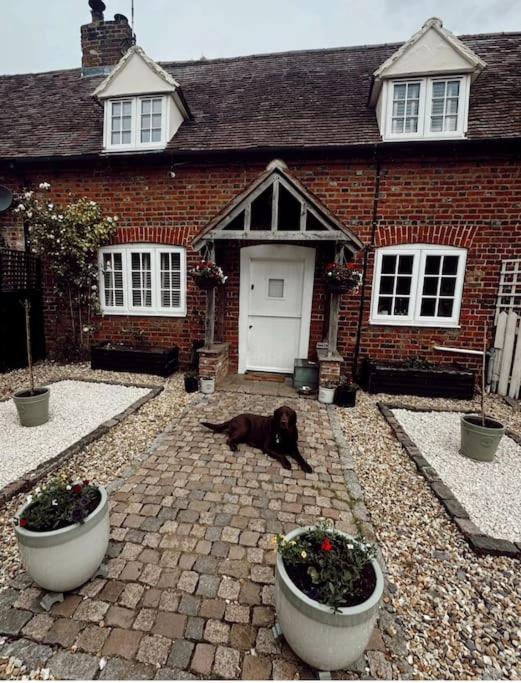 Poppy Rose Cottage view 2