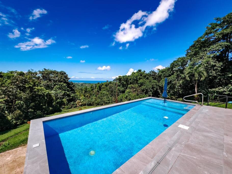 Yunque Reserve Secluded Rainforest House