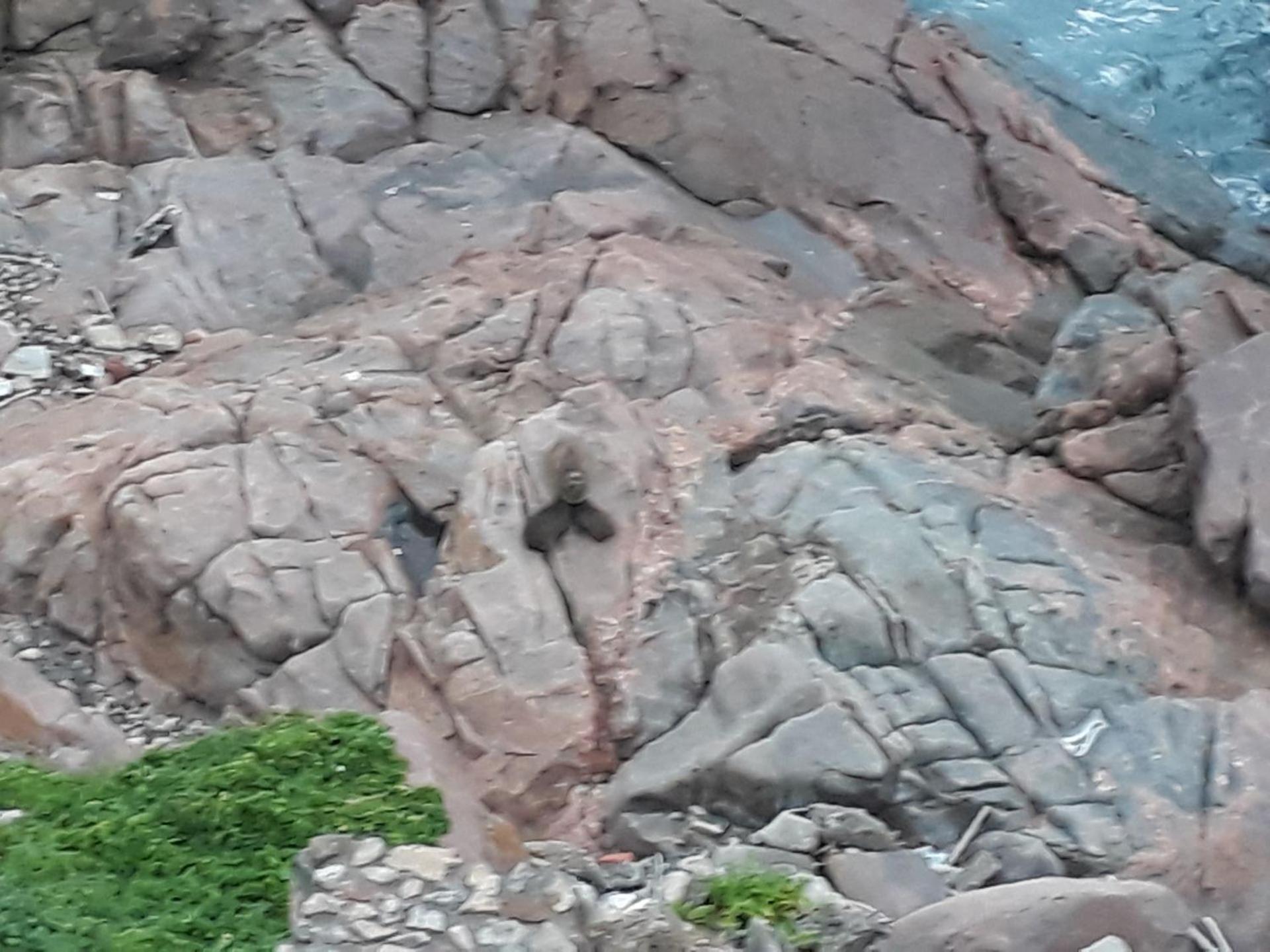 Seagull Beach Resort