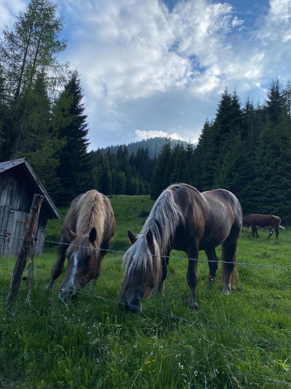 Baita Alpenrose