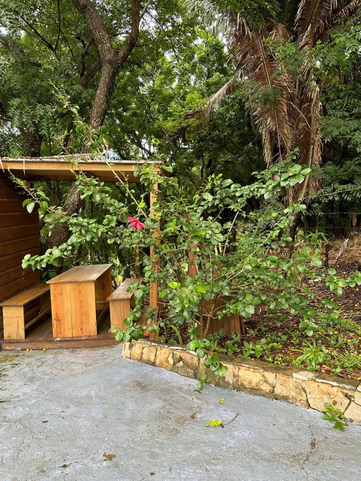 Mini Studio for 1 or 2 guests view 5