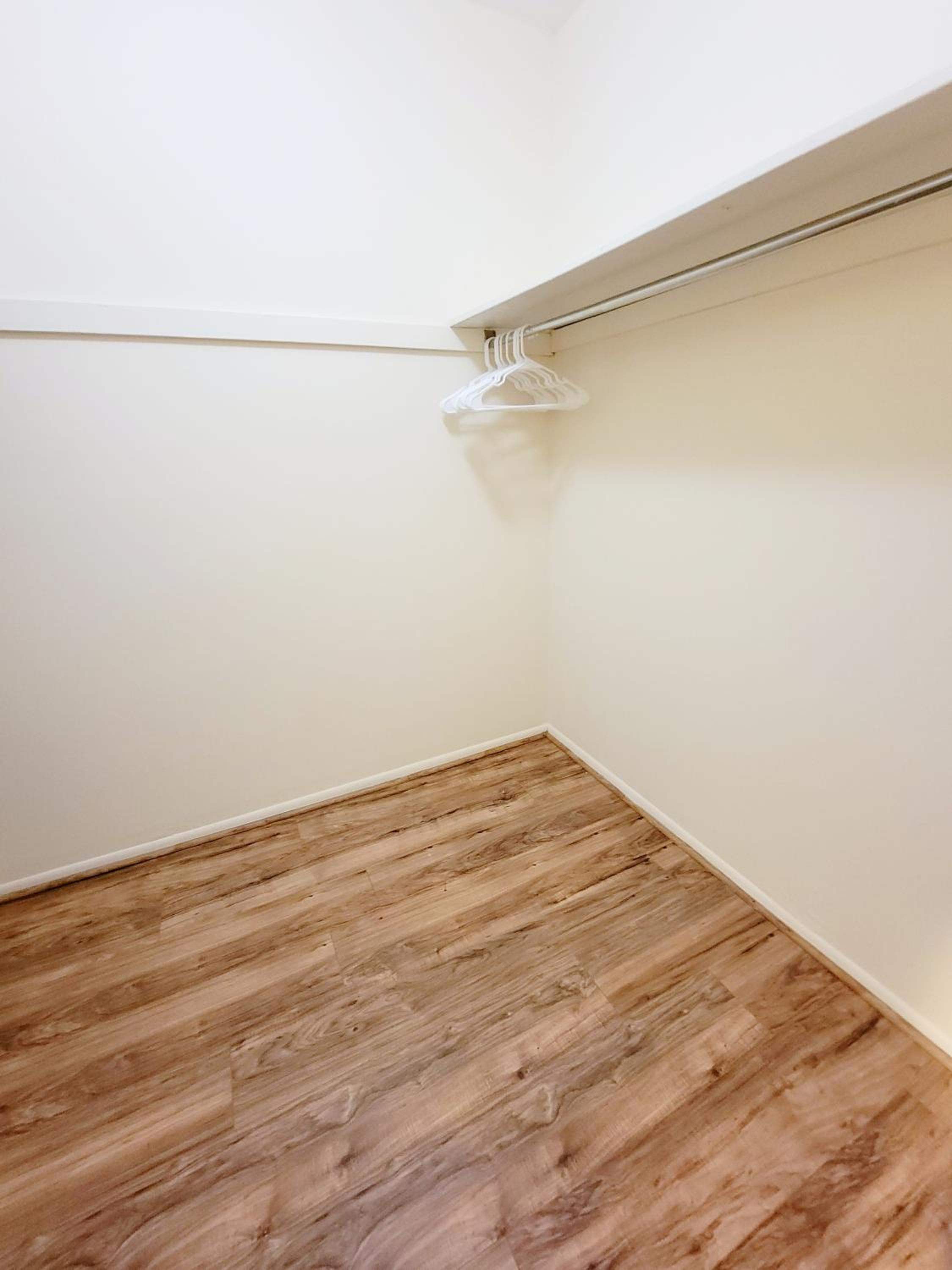 Beautiful, Spacious, 22 In Elkins Park view 5