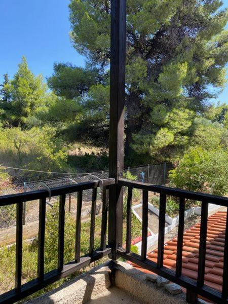 Elia Sithonia Apartment view 3