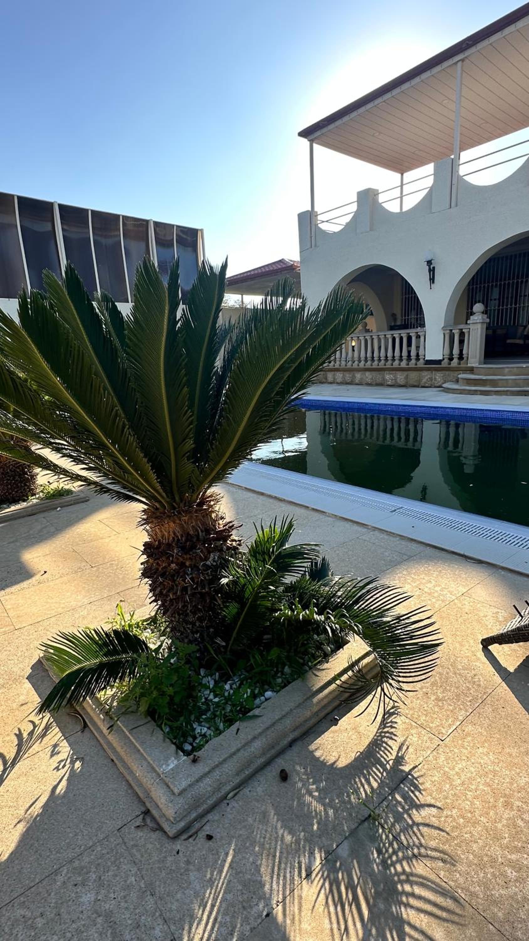 Dream House