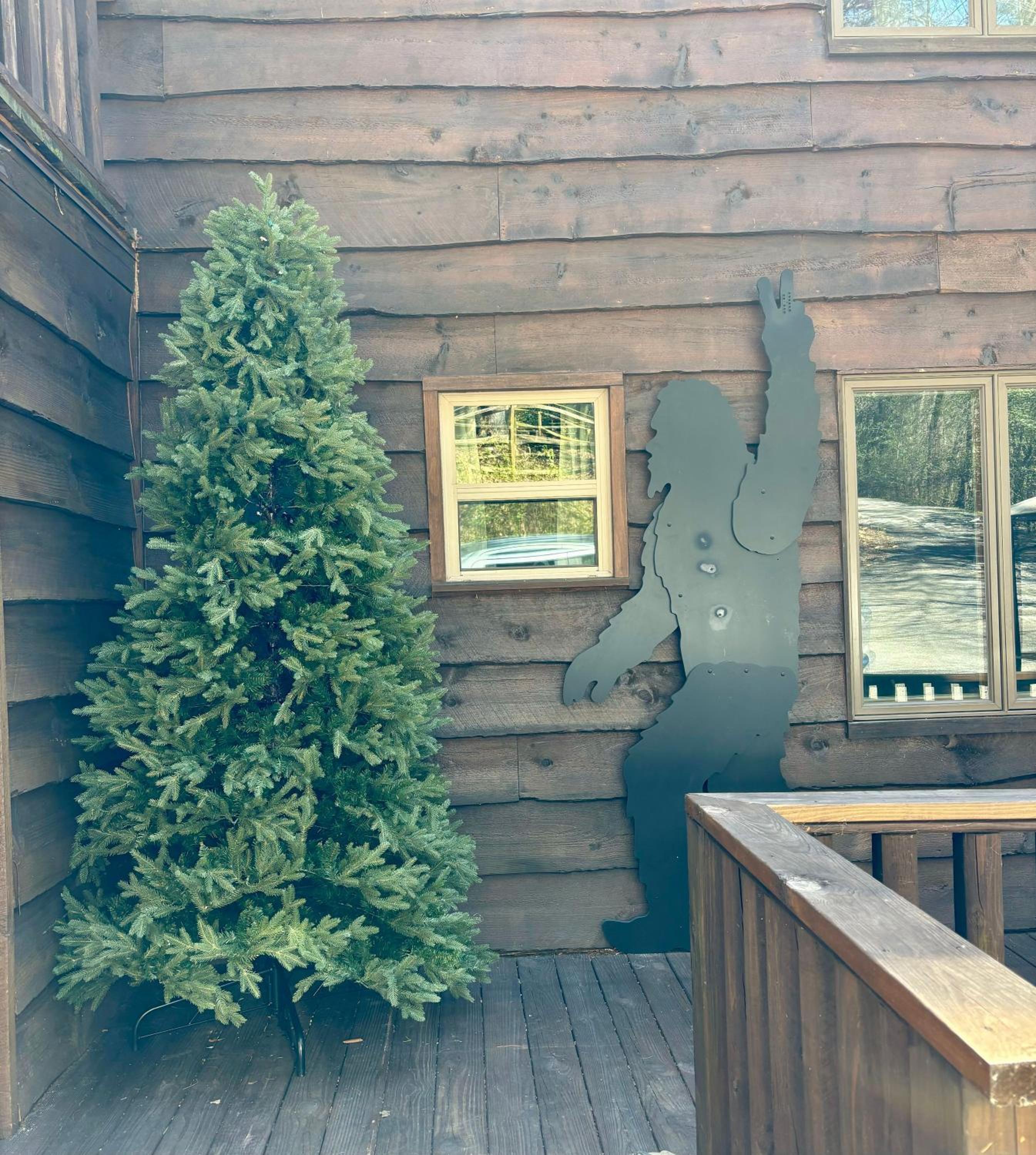Photo 47
