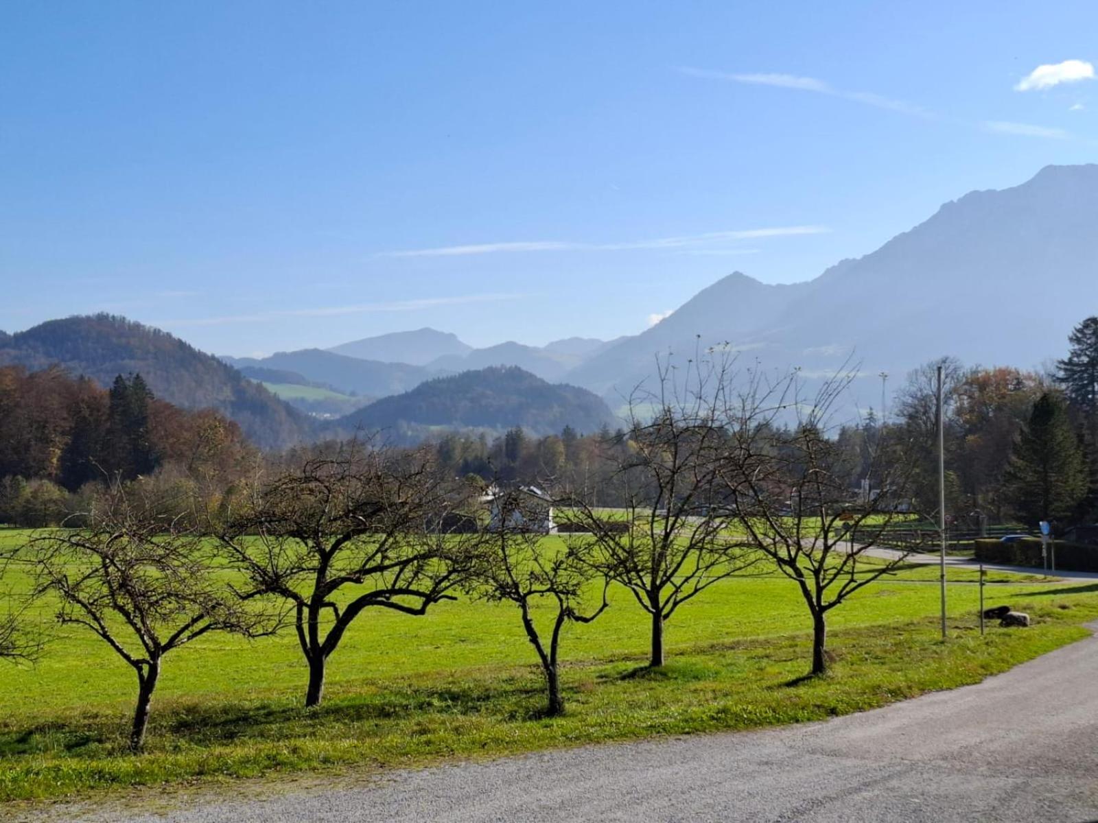 Ferienwohnungen „Zum Bauern“