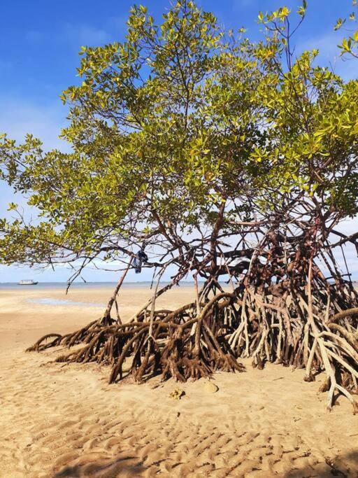 Casa agradável com piscina na Ilha de Boipeba