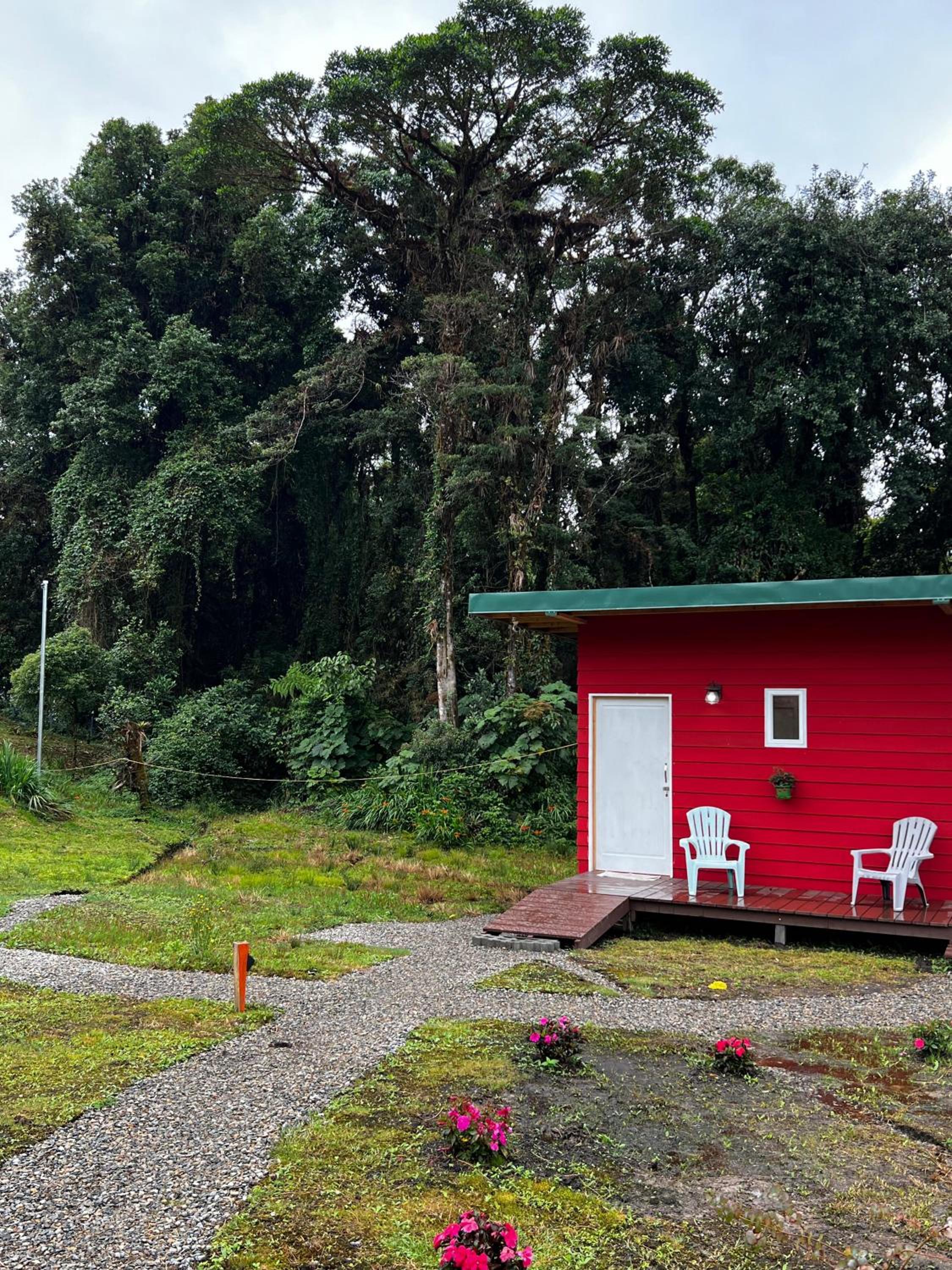 Studio Quetzal