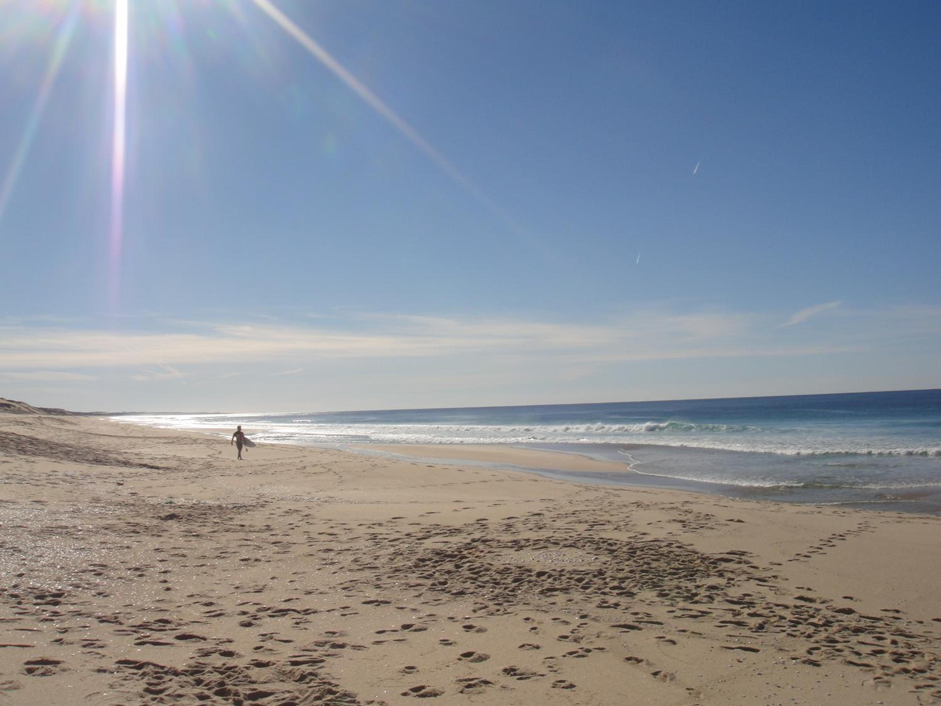 Photo 44