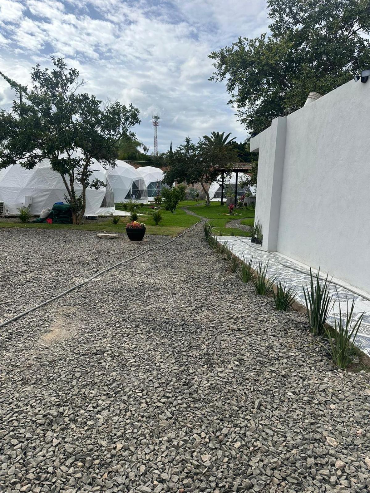 Glamping Jardin de las Hadas view 4