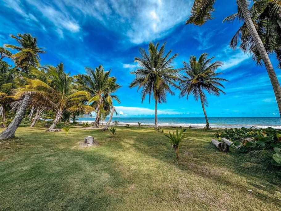 Casa Arroyo Oceanfront Apt in CampoMar Resort view 4