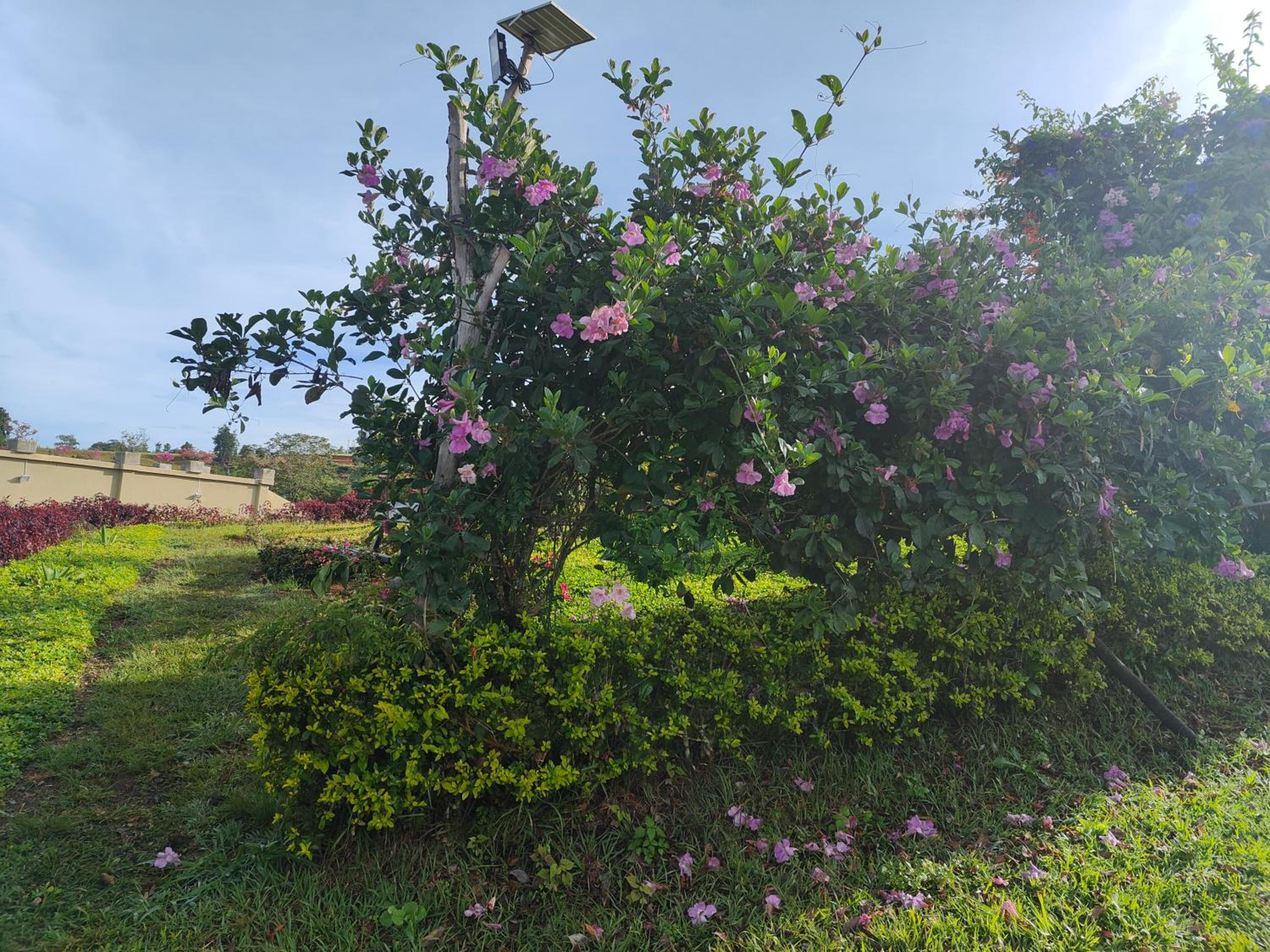 Casa El Encanto
