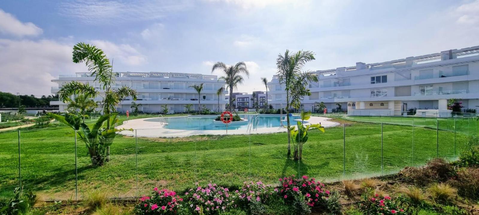 Oasis playa costa Ballena