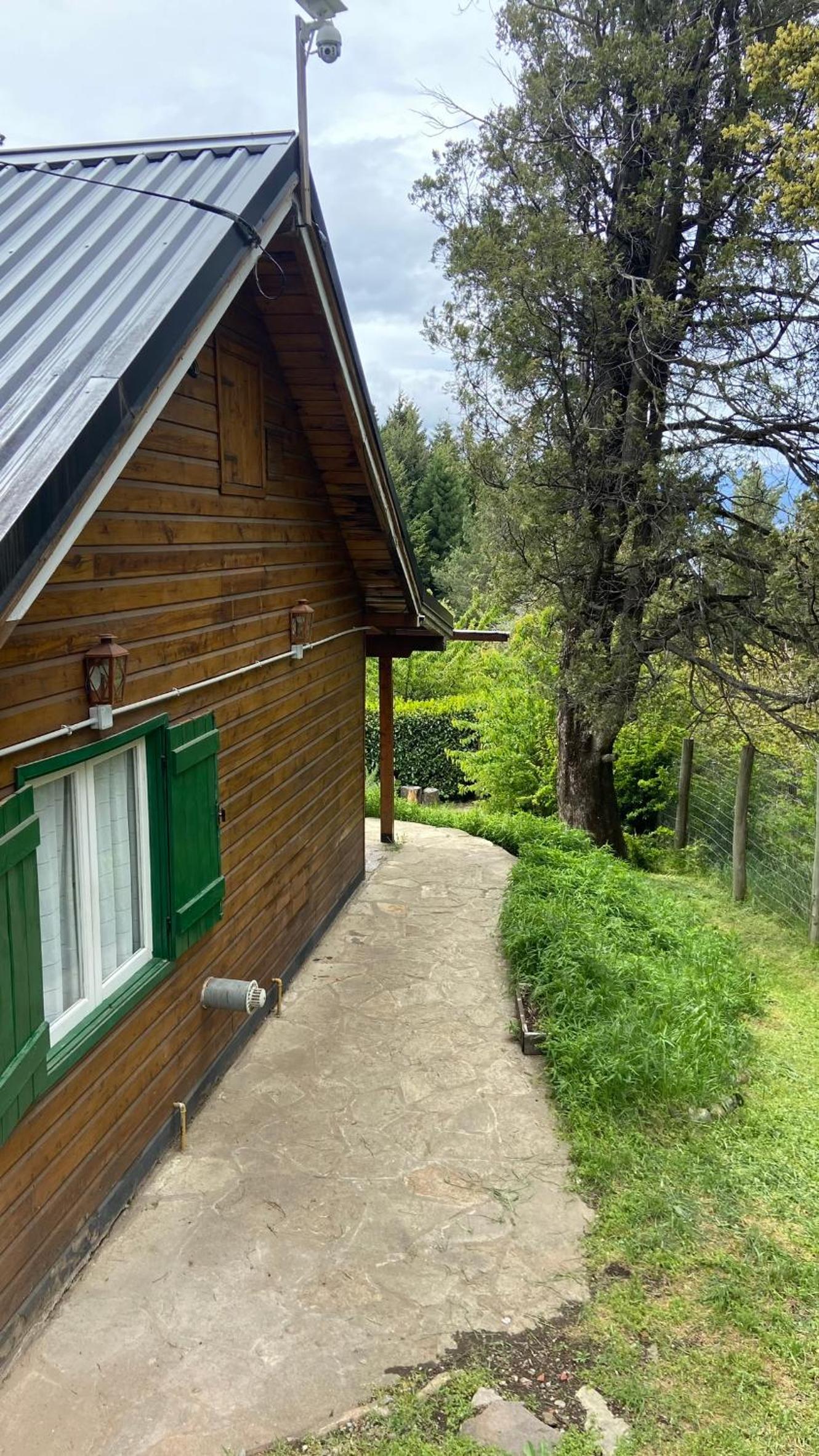 Pico Andino