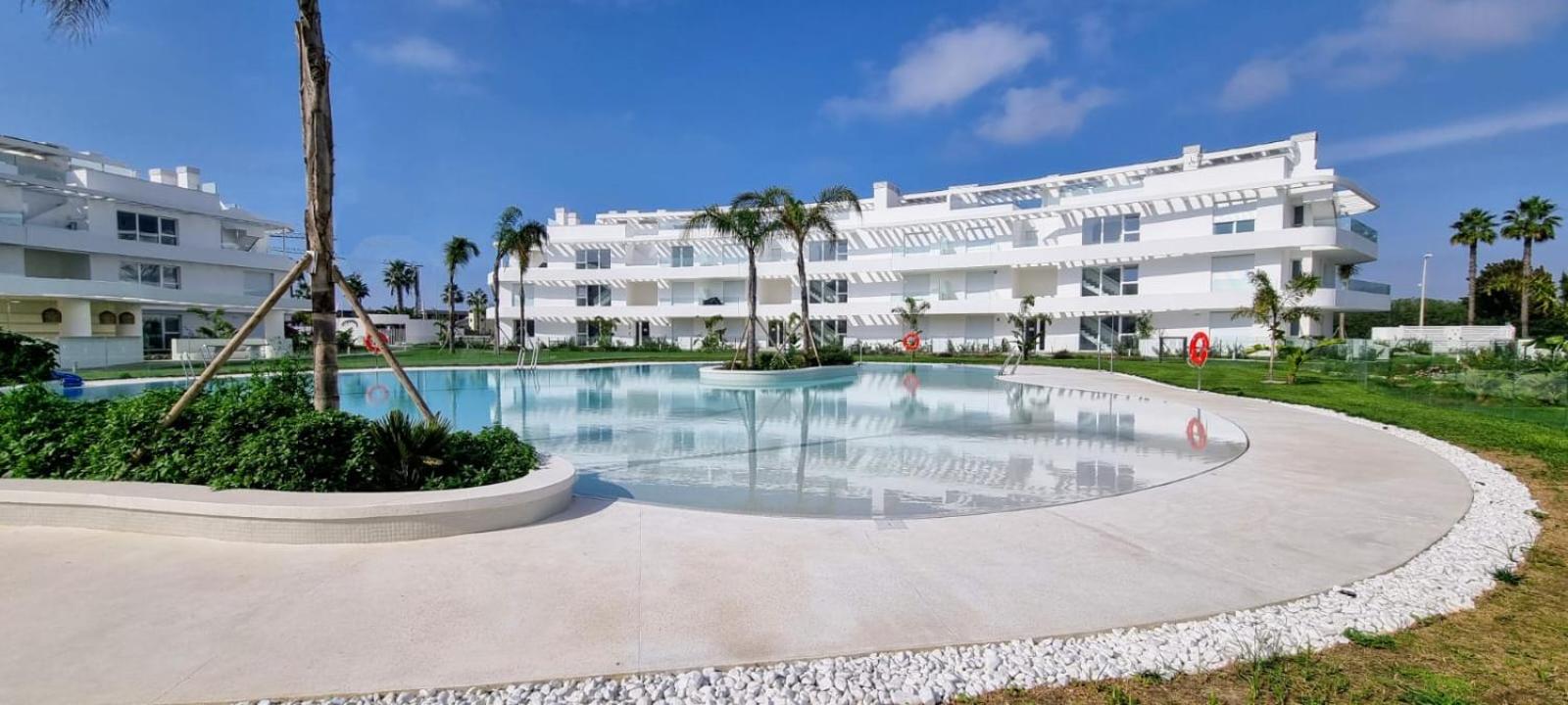 Oasis playa costa Ballena