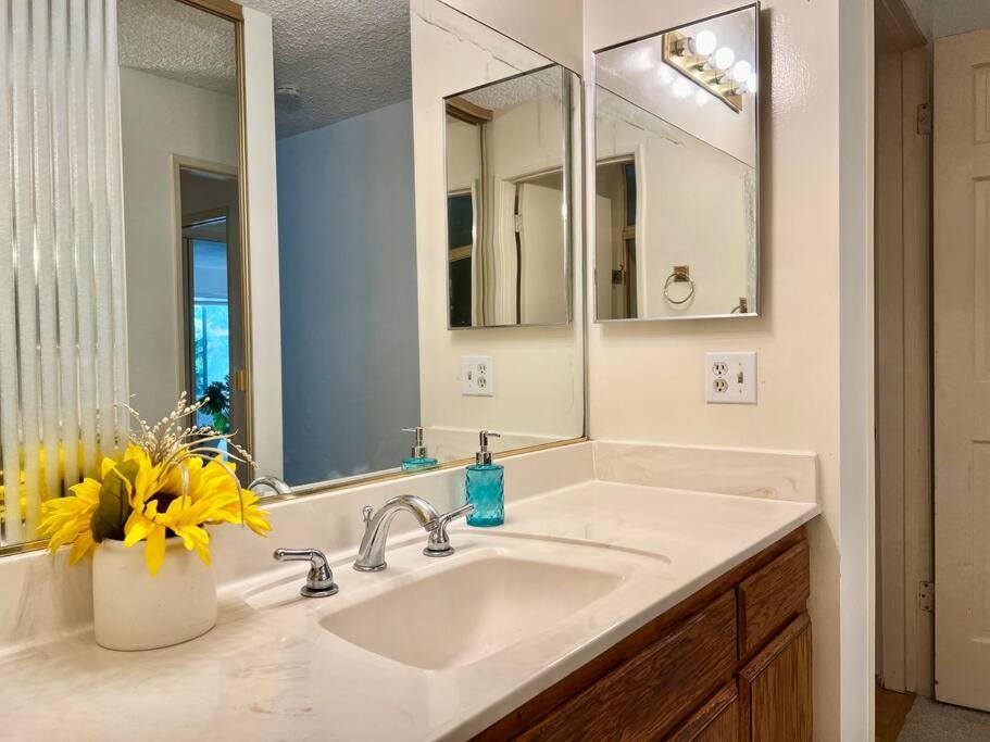 Jies Choice - tranquil haven 3b3b prime Arcadia unit A - Property Image 28