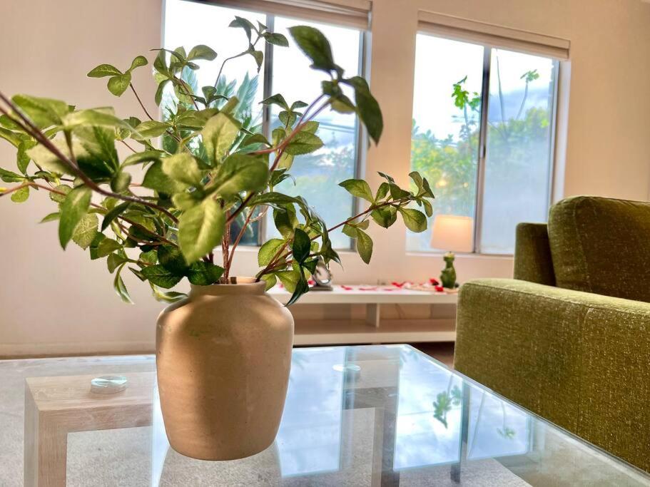 Jies Choice - tranquil haven 3b3b prime Arcadia unit A - Property Image 39