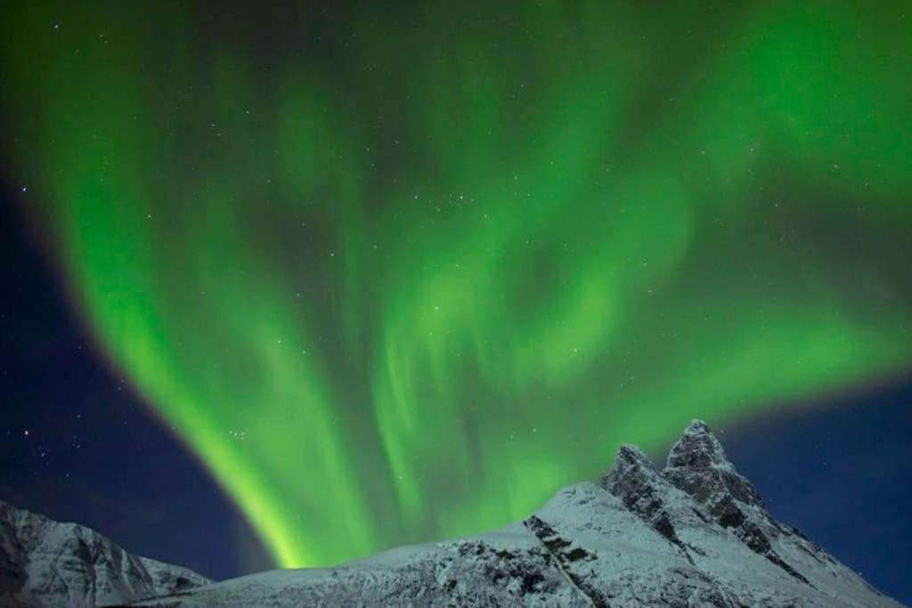 Hytte mellom Lyngen og Dividalen