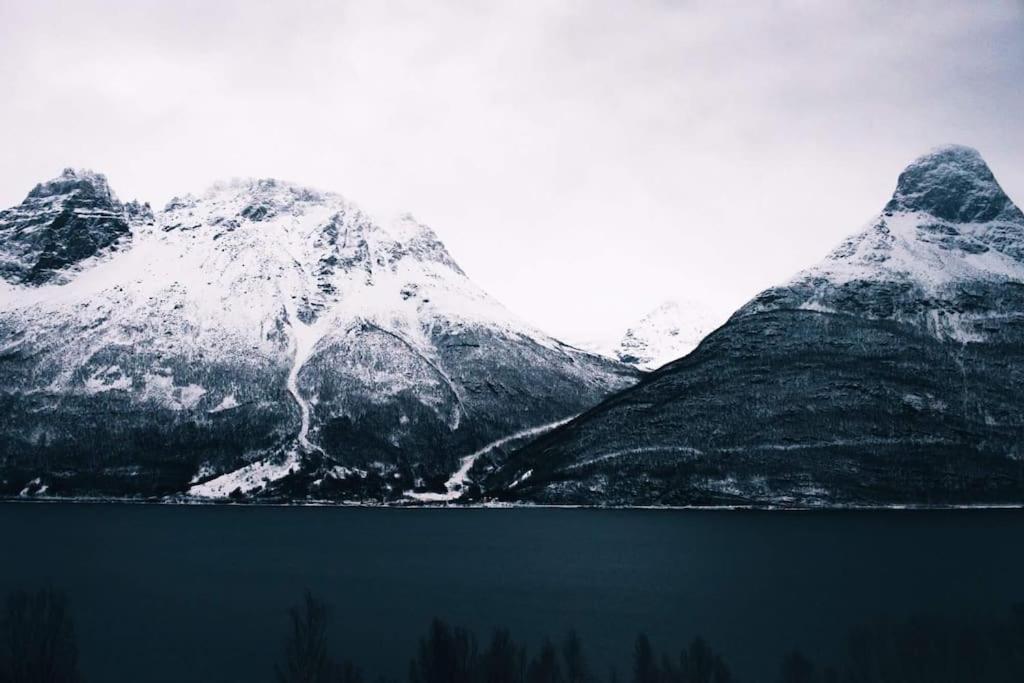 Hytte mellom Lyngen og Dividalen