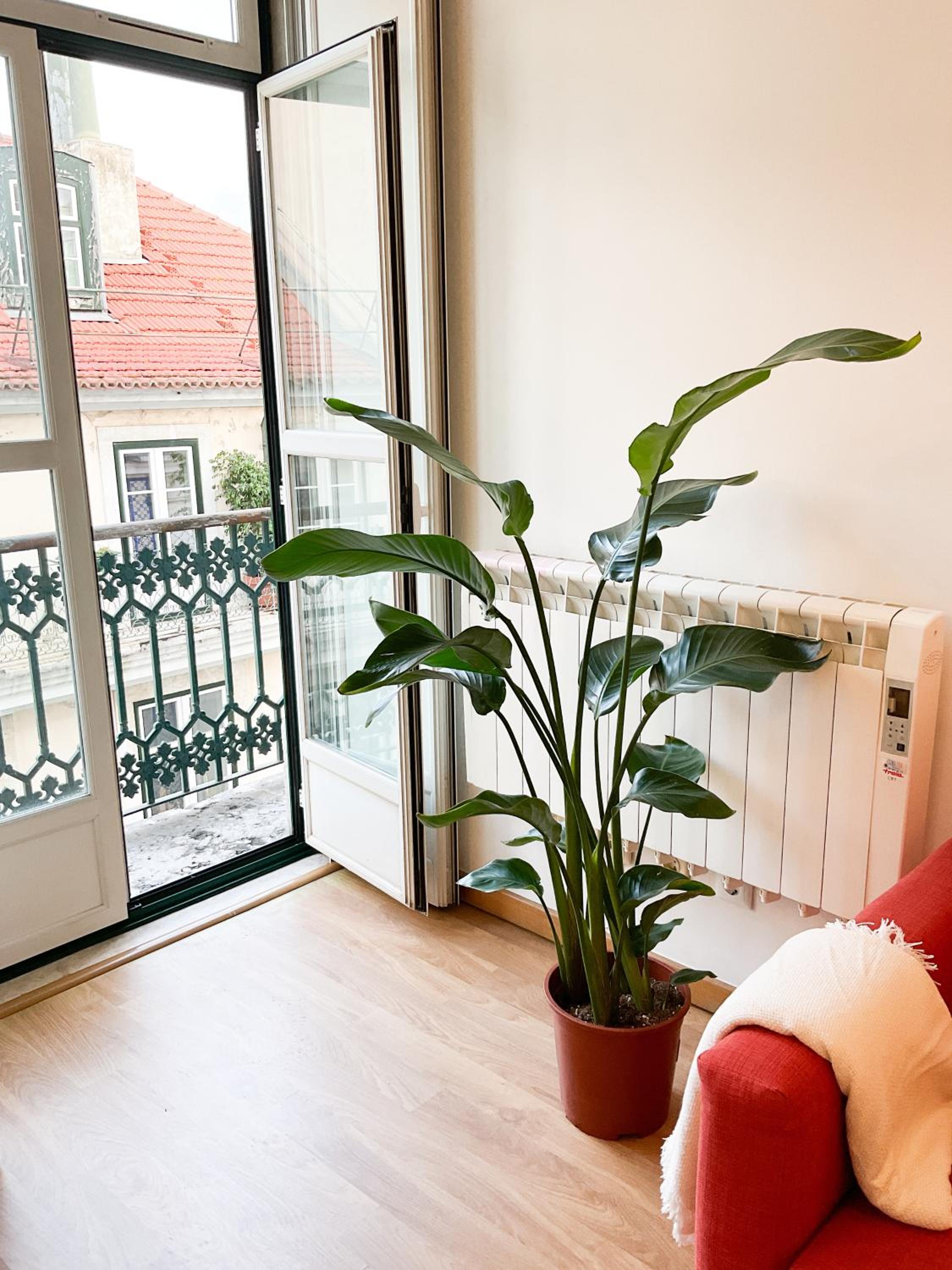 Stunning Luxury Apartment in Chiado 1BR