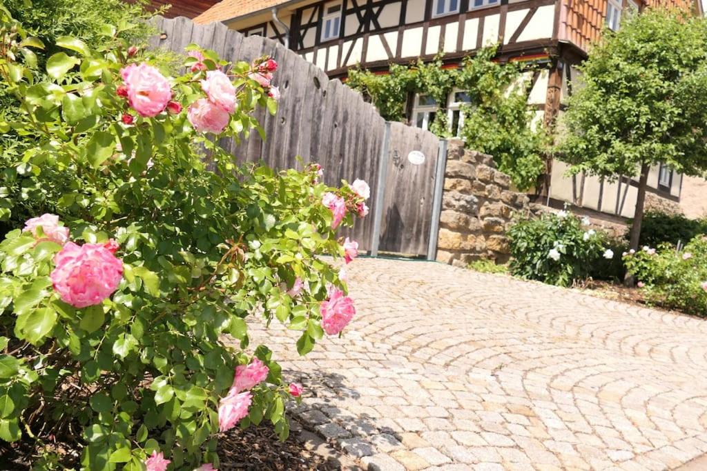 Fachwerkhaus mit rustikalem Weinkeller und Garten, ganze Unterkunft, gute Lage