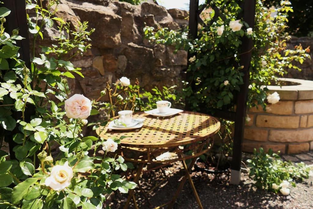 Fachwerkhaus mit rustikalem Weinkeller und Garten, ganze Unterkunft, gute Lage