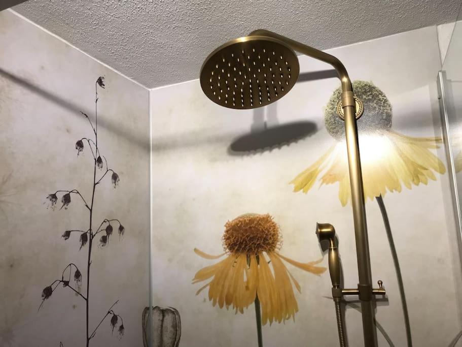 Fachwerkhaus mit rustikalem Weinkeller und Garten, ganze Unterkunft, gute Lage