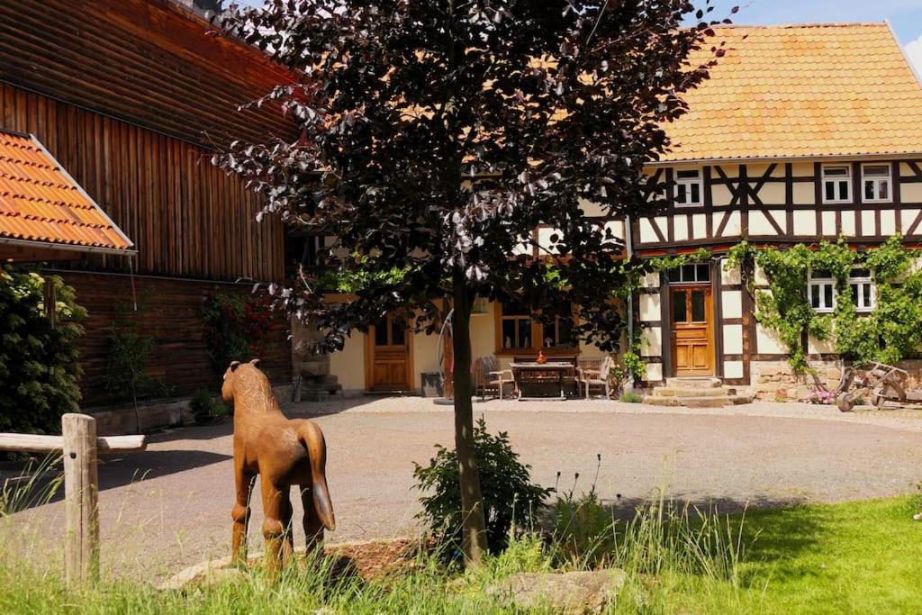 Fachwerkhaus mit rustikalem Weinkeller und Garten, ganze Unterkunft, gute Lage