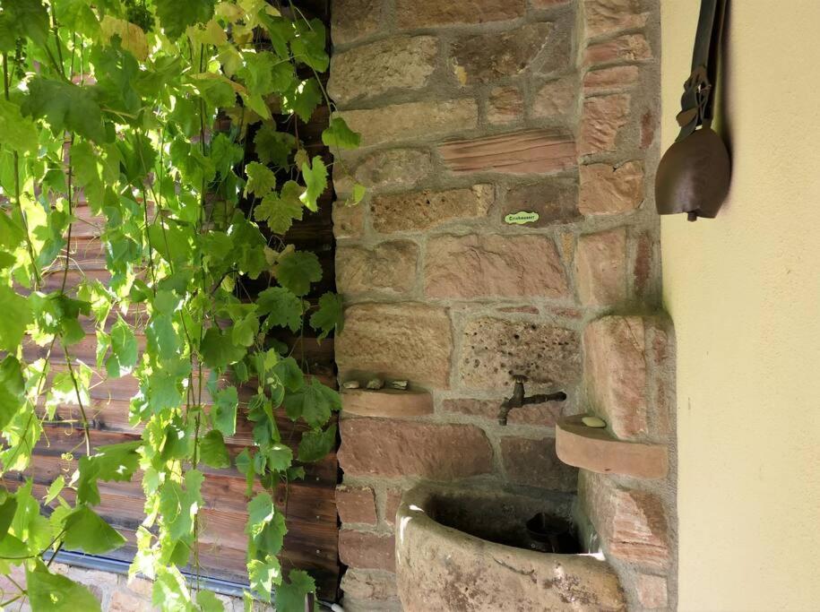 Fachwerkhaus mit rustikalem Weinkeller und Garten, ganze Unterkunft, gute Lage