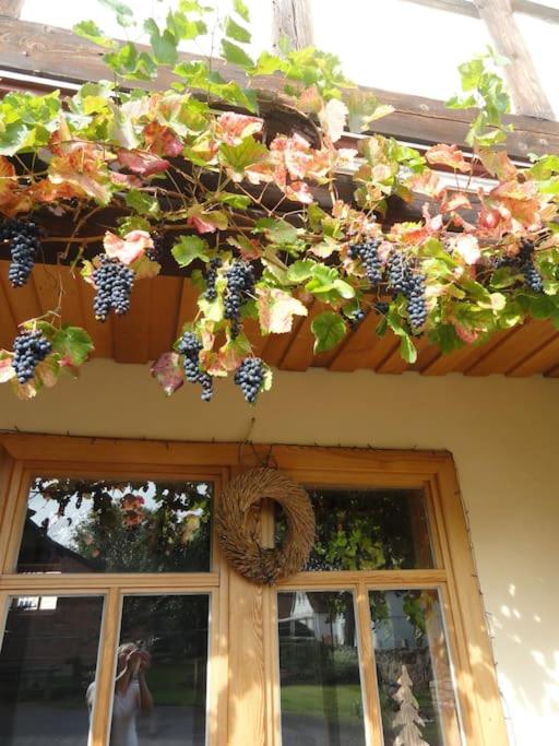 Fachwerkhaus mit rustikalem Weinkeller und Garten, ganze Unterkunft, gute Lage