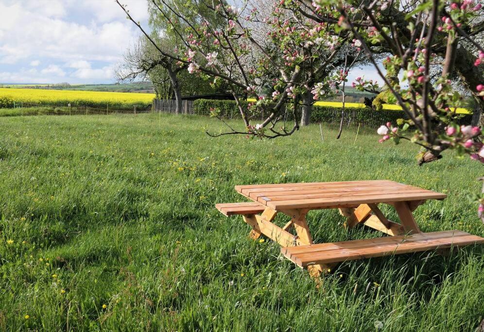 Fachwerkhaus mit rustikalem Weinkeller und Garten, ganze Unterkunft, gute Lage
