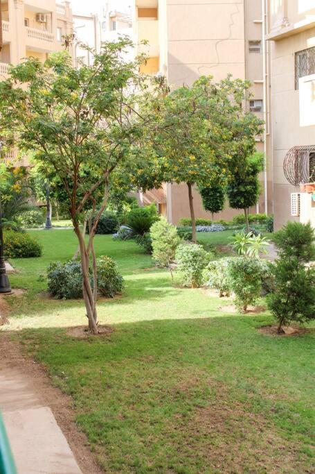 Peaceful Apartment with Garden View - New Cairo