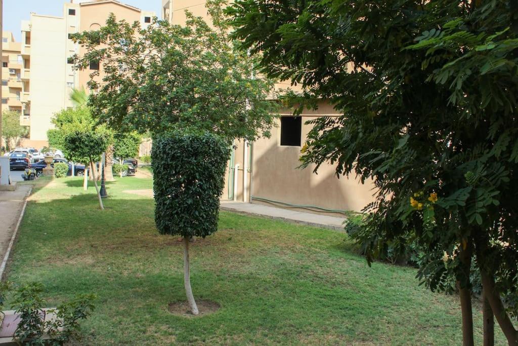 Peaceful Apartment with Garden View - New Cairo