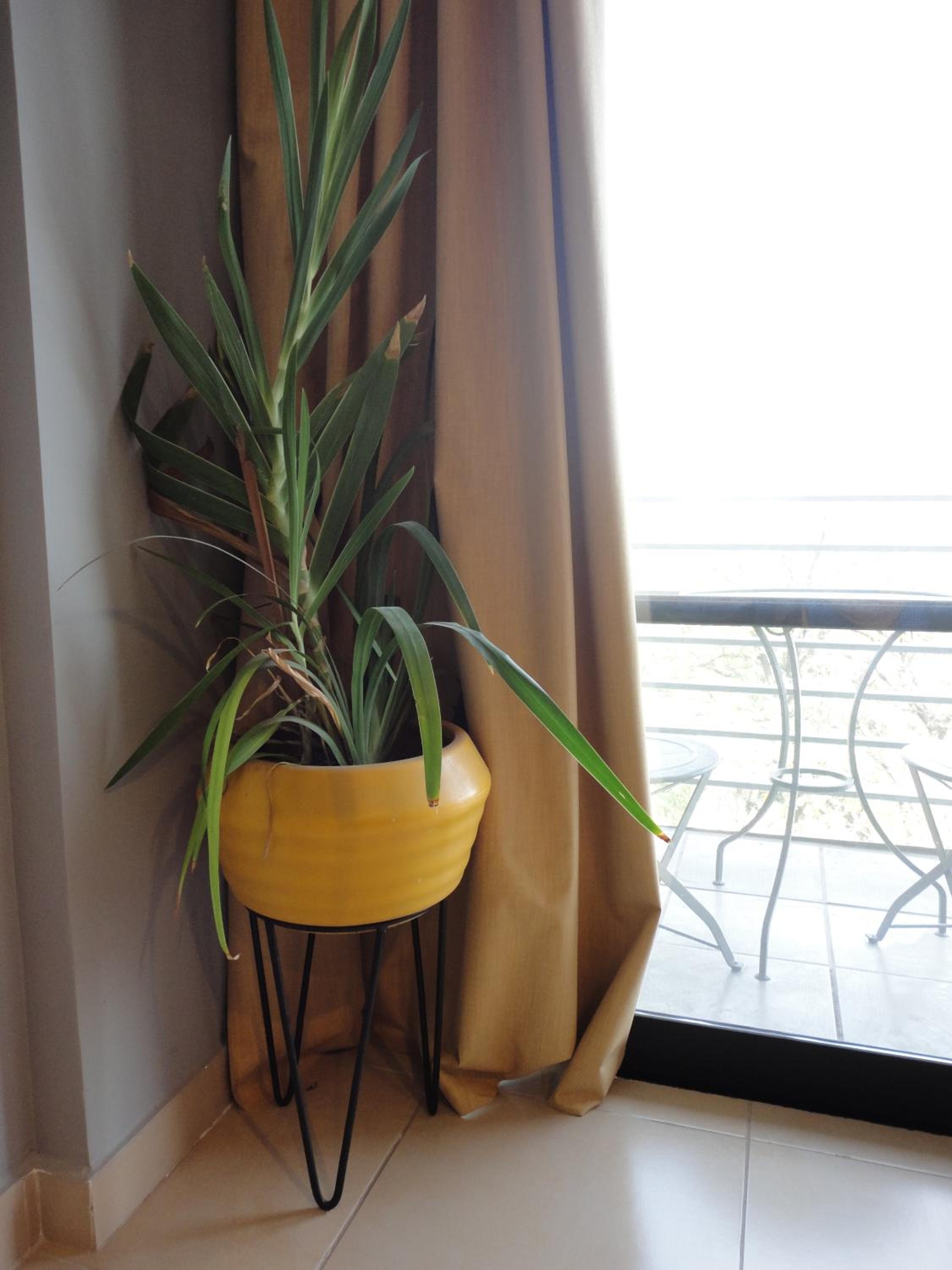 Departamento Torre Belgrano