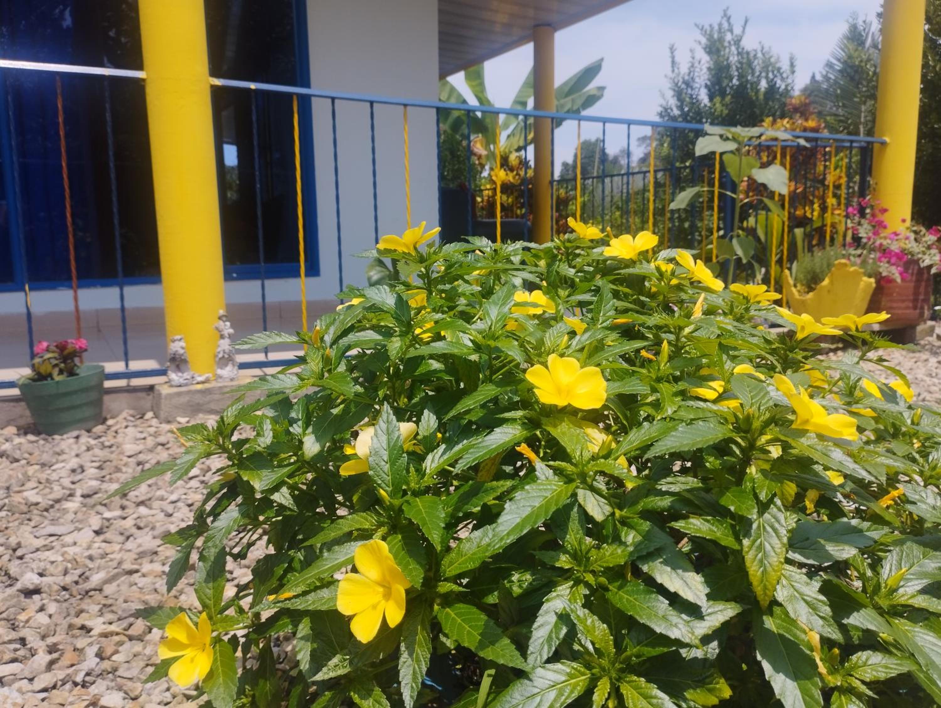Finca en Vergara 