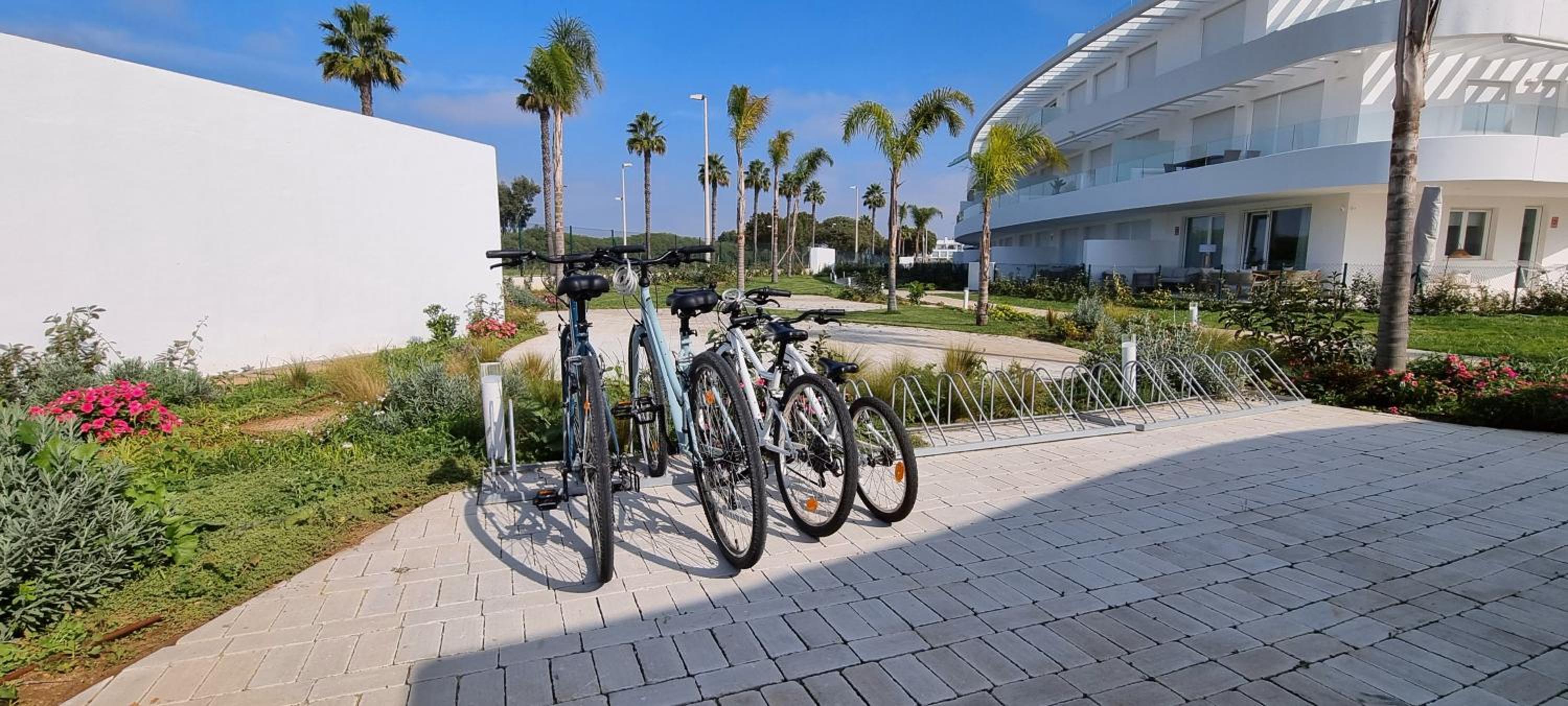 Oasis playa costa Ballena
