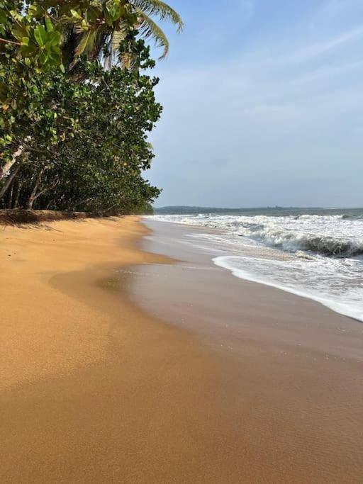 Villa Dave Kribi