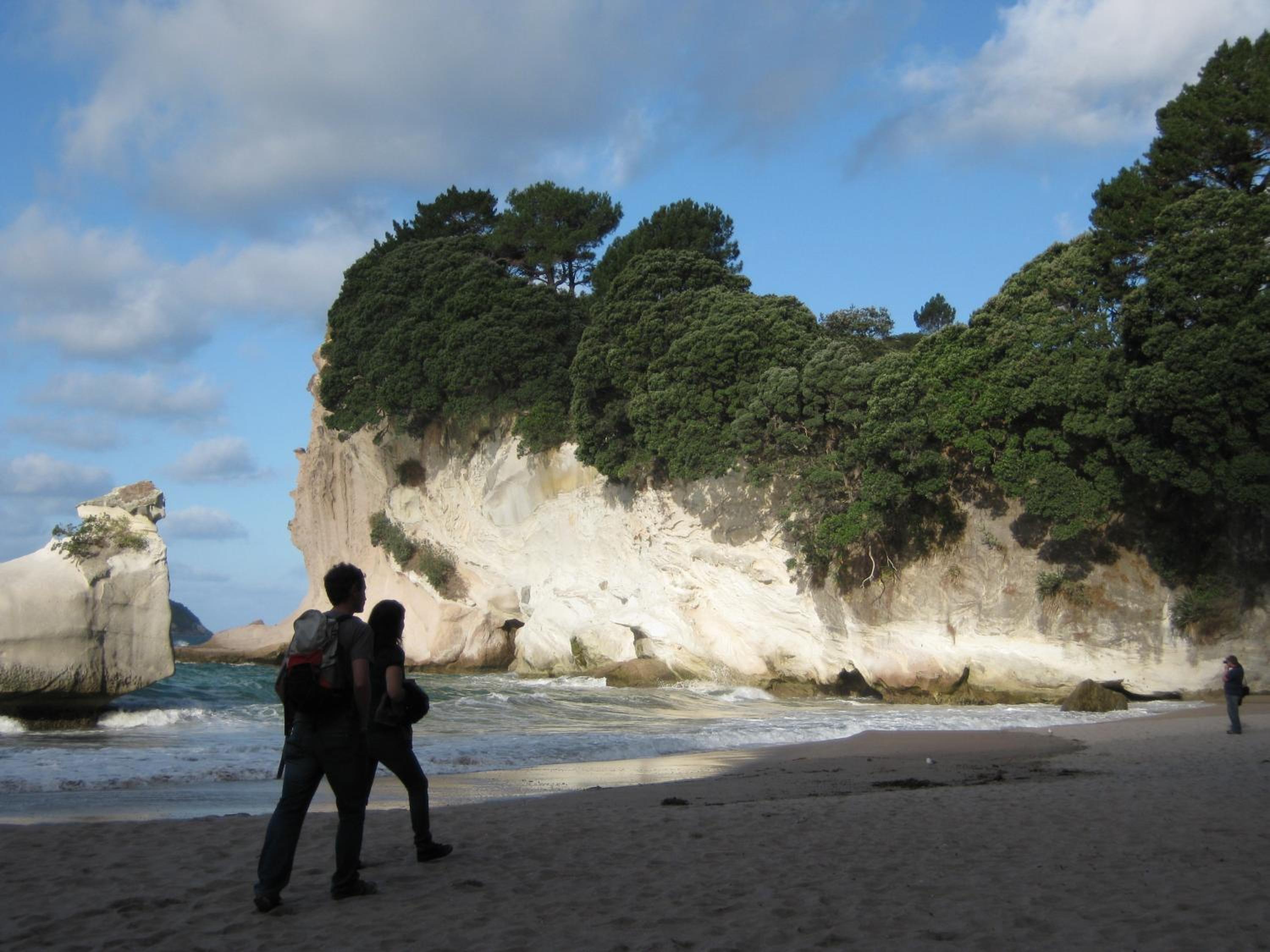 Hahei Beach Escape view 5