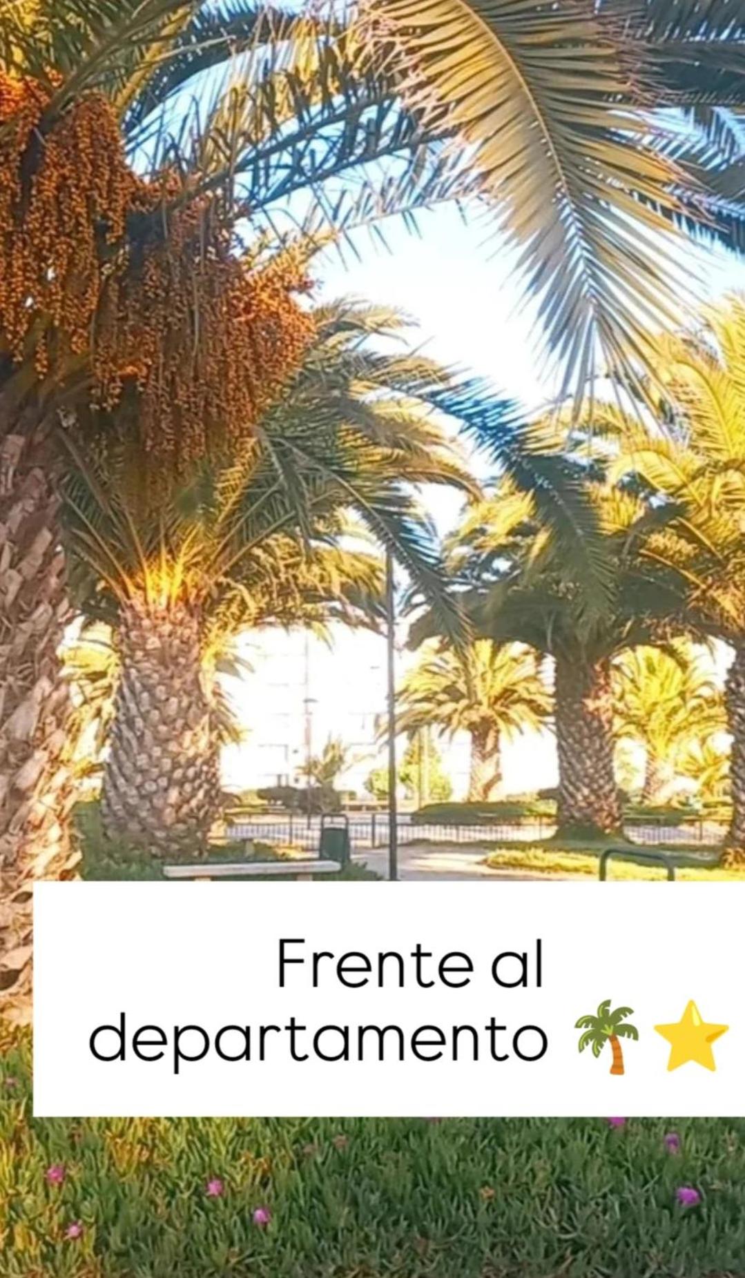 Tiny House a pasos de la playa