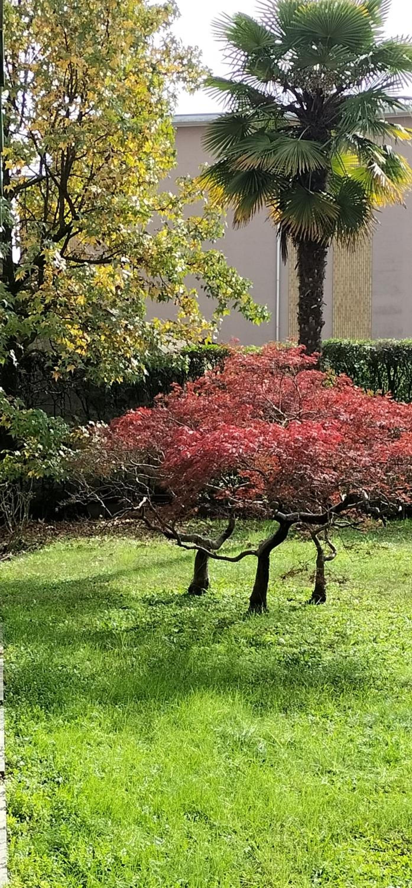 other