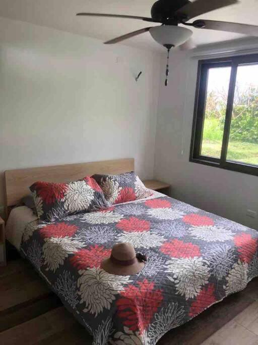 Rent Suite Jama Manabí Deluxe