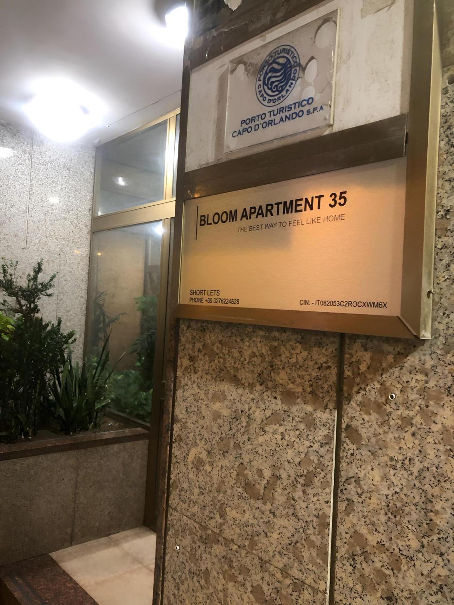 Bloom Apartment 35 view 4
