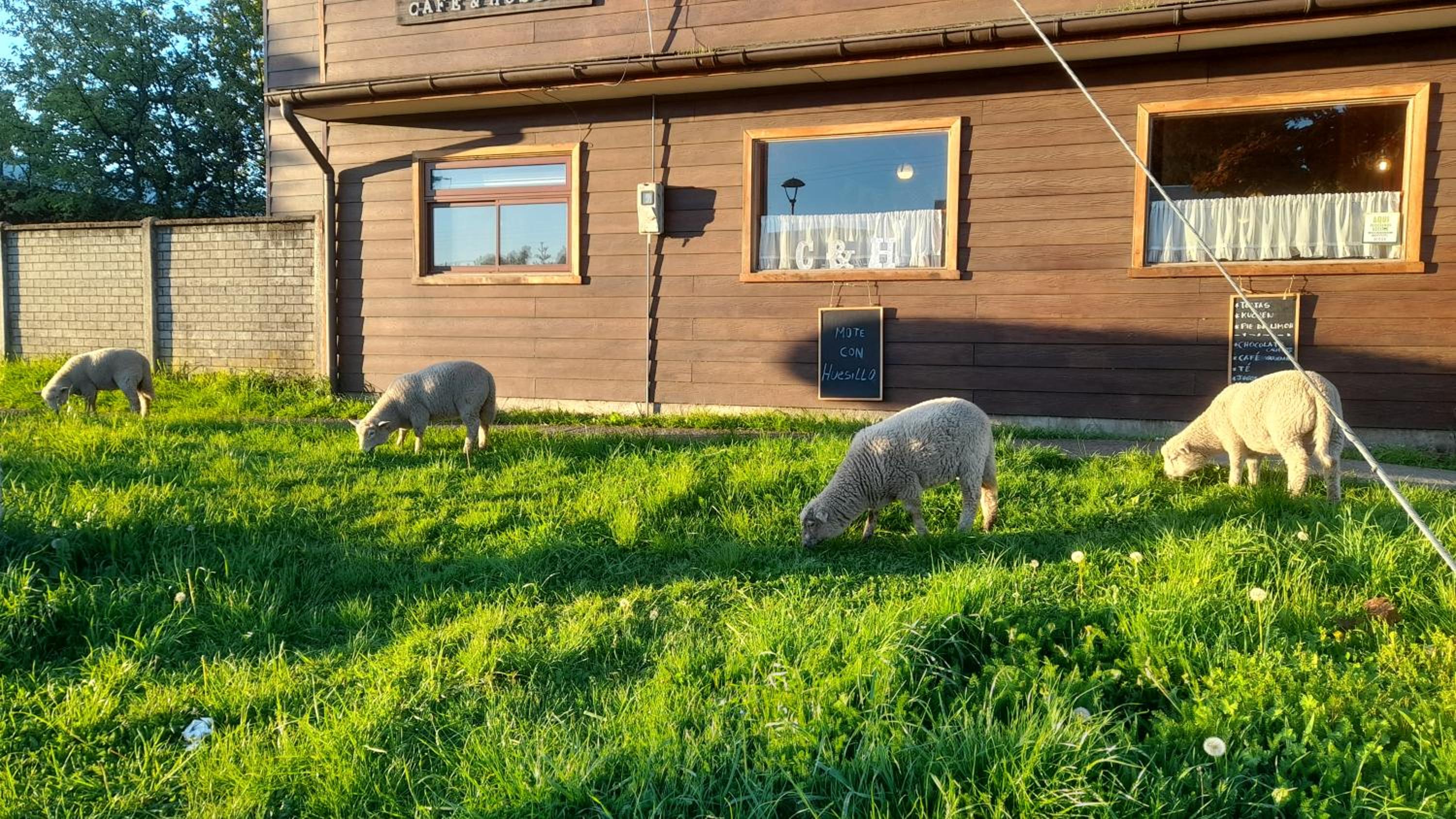 Cafe & Hostal Acurruka