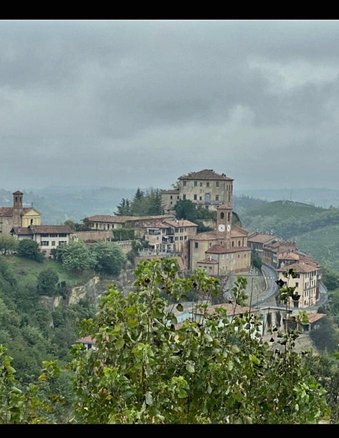 Il bosco delle torte view 4