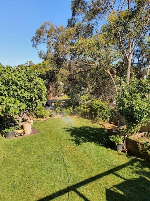 Family beach house among the gum trees