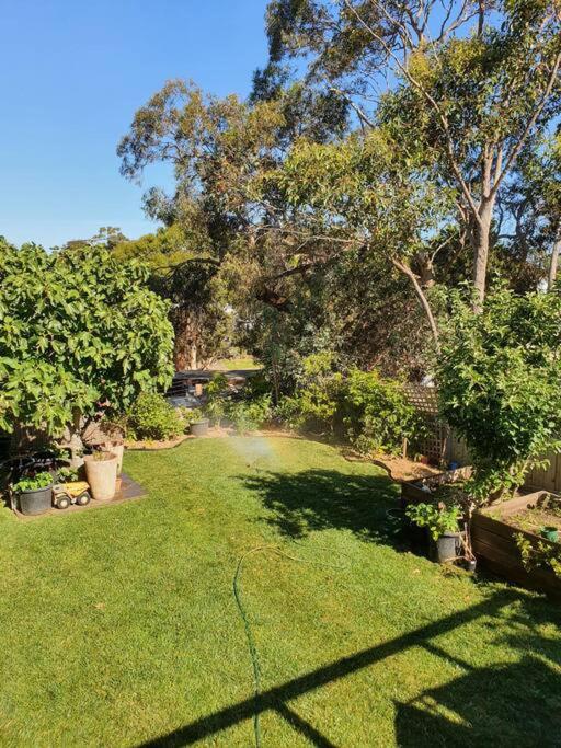 Family beach house among the gum trees