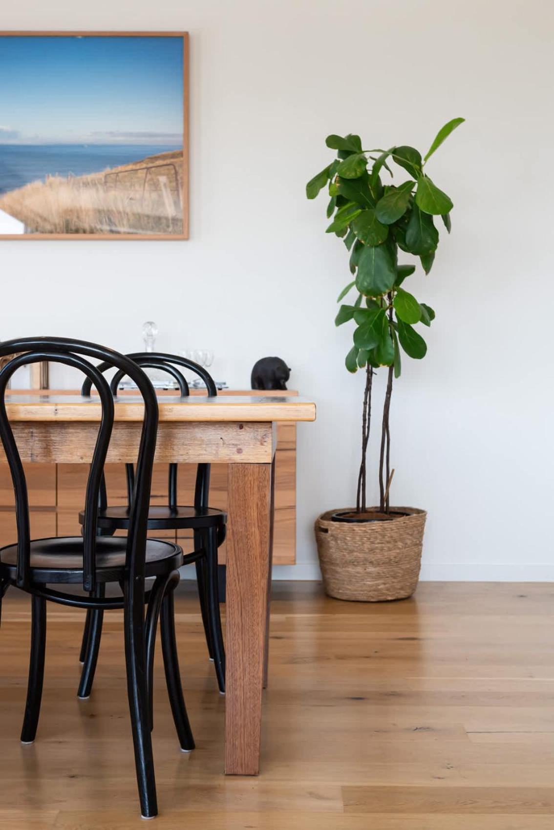Melbourne Penthouse Apartment A Walk to Brighton Beach