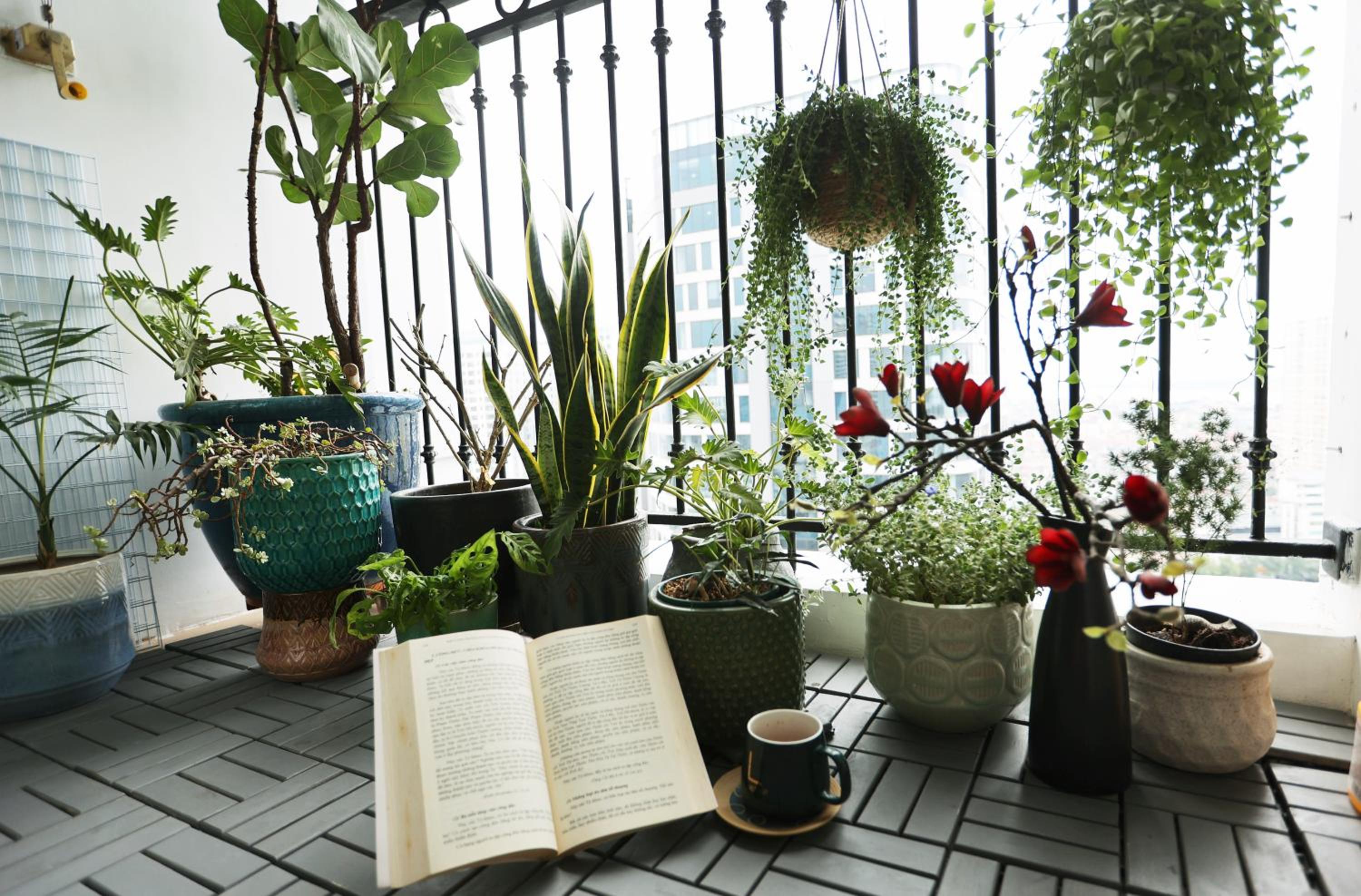 Serenity Elegant Apartment - T5 Times City